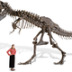 Illustration for article titled Of Course Hammacher Will Sell You an Amazing Full-Size T-Rex Skeleton